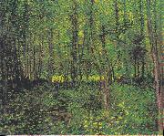 Vincent Van Gogh Trees and underwood oil painting picture wholesale